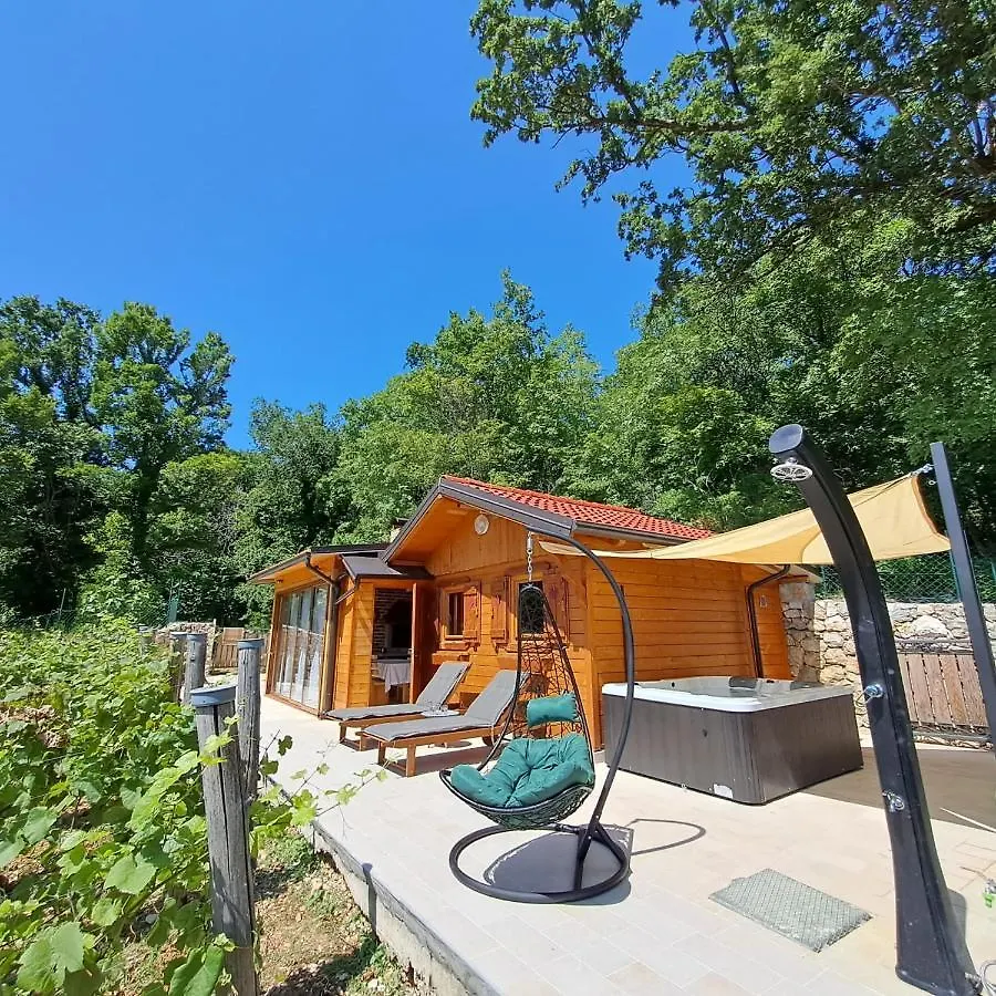 Vineyard House Villa Grižane