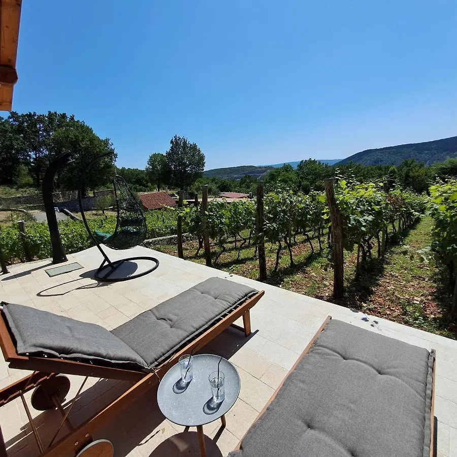 Vineyard House Villa Grižane Croaţia